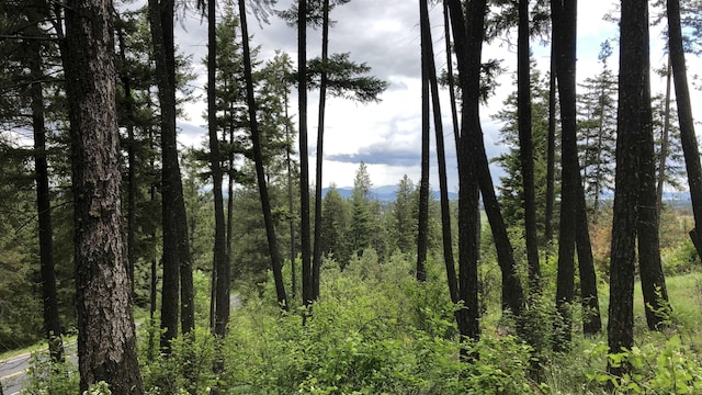TBD S Swenson Rd, Deer Park, WA 99006