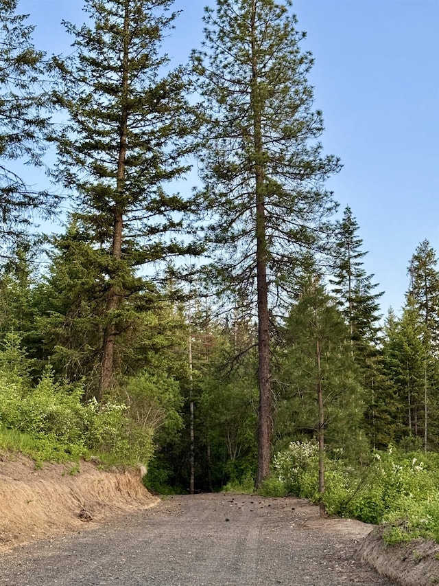 TBD S Swenson Rd, Deer Park, WA 99006