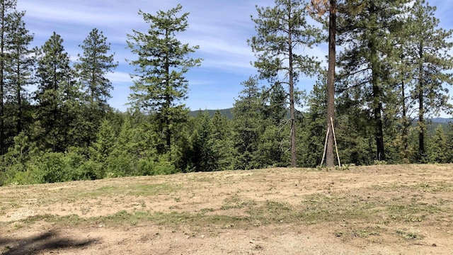 TBD S Swenson Rd, Deer Park, WA 99006
