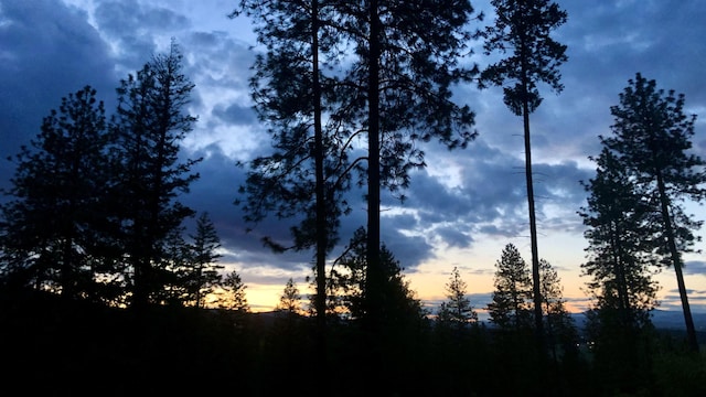 TBD S Swenson Rd, Deer Park, WA 99006