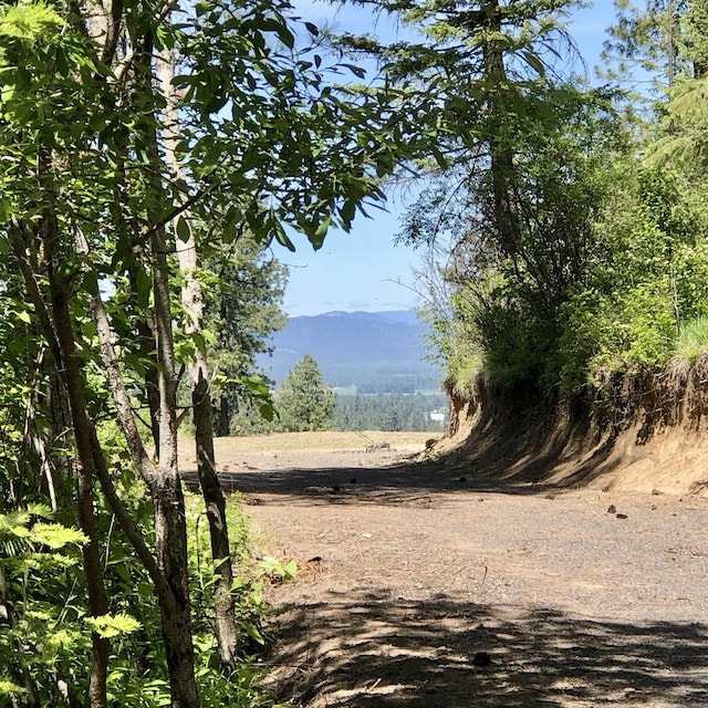 TBD S Swenson Rd, Deer Park, WA 99006