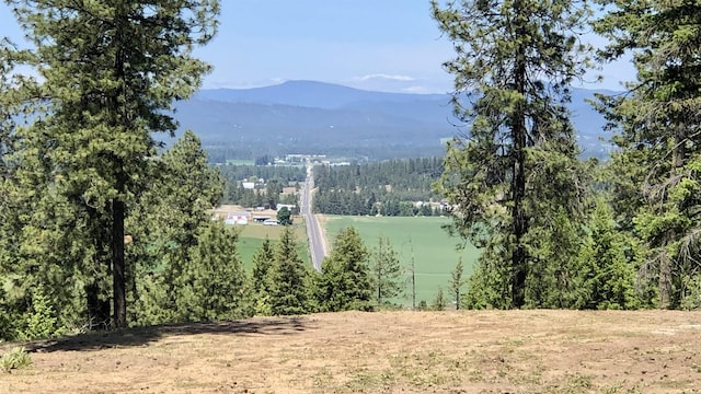 TBD S Swenson Rd, Deer Park, WA 99006