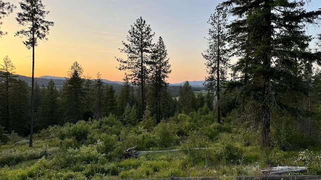 TBD S Swenson Rd, Deer Park, WA 99006