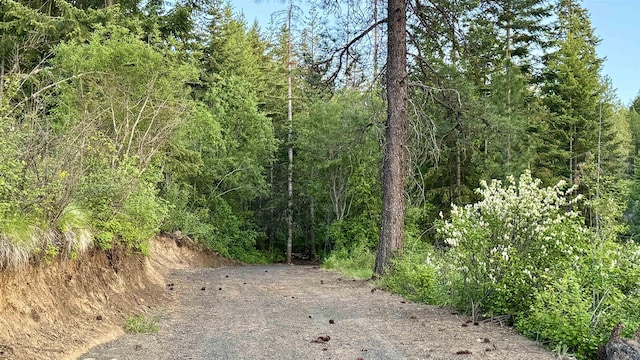 TBD S Swenson Rd, Deer Park, WA 99006