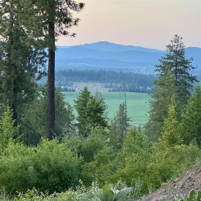 TBD S Swenson Rd, Deer Park, WA 99006