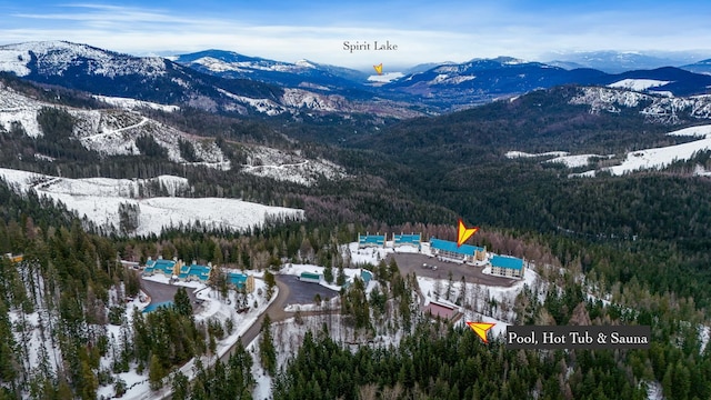 28600 N Mt Spokane Park Dr Unit 603, Mead, WA 99021 - mountain view featuring a heavily wooded area
