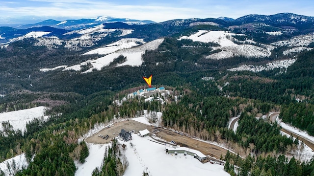28600 N Mt Spokane Park Dr Unit 603, Mead, WA 99021 - view of mountain backdrop with a heavily wooded area