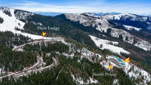 28600 N Mt Spokane Park Dr Unit 603, Mead, WA 99021 - view of mountain background with a heavily wooded area