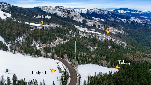 28600 N Mt Spokane Park Dr Unit 603, Mead, WA 99021 - snowy aerial view with a mountain view and a forest view