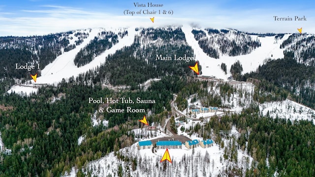 28600 N Mt Spokane Park Dr Unit 603, Mead, WA 99021 - snowy aerial view featuring a mountain view and a view of trees