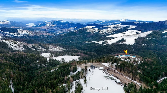 28600 N Mt Spokane Park Dr Unit 603, Mead, WA 99021 - mountain view featuring a heavily wooded area