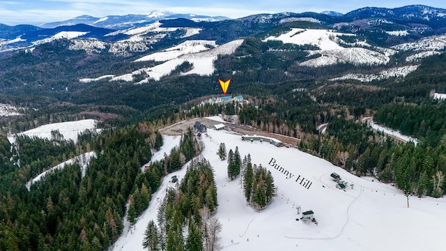 28600 N Mt Spokane Park Dr Unit 603, Mead, WA 99021 - snowy aerial view featuring a mountain view and a forest view