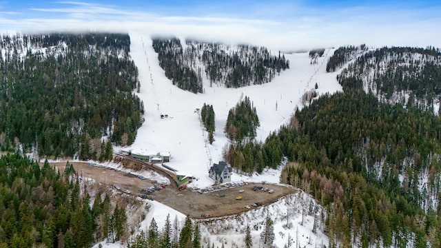28600 N Mt Spokane Park Dr Unit 603, Mead, WA 99021 - snowy aerial view with a wooded view and a mountain view