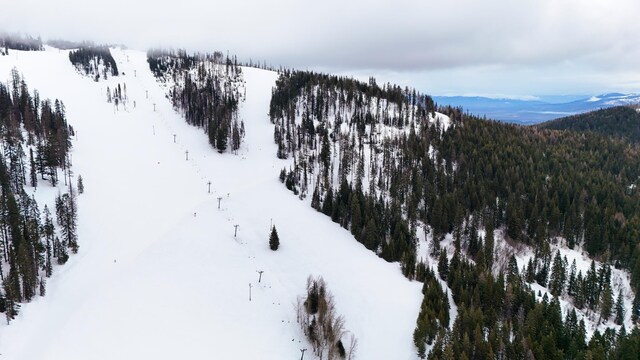 28600 N Mt Spokane Park Dr Unit 603, Mead, WA 99021 - snowy aerial view featuring a wooded view and a mountain view