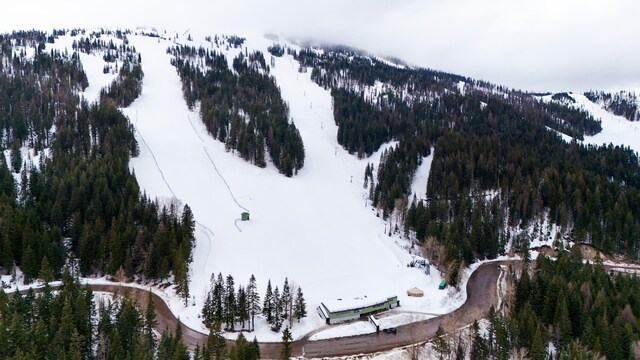 28600 N Mt Spokane Park Dr Unit 603, Mead, WA 99021 - snowy aerial view featuring a mountain view and a forest view