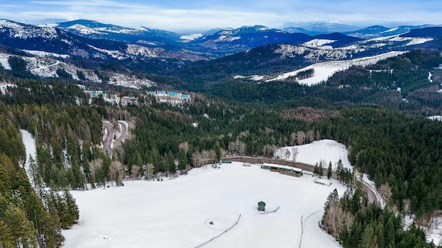 28600 N Mt Spokane Park Dr Unit 603, Mead, WA 99021 - mountain view with a forest