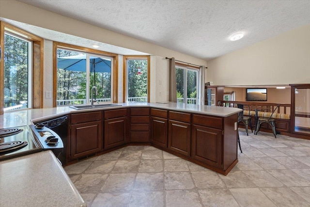 4510 E Bixel Ct, Mead, WA 99021 - kitchen featuring a sink, a textured ceiling, light countertops, lofted ceiling, and range
