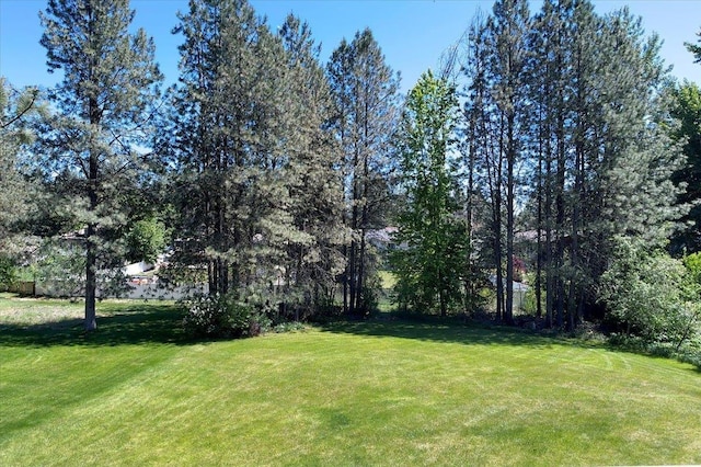 4510 E Bixel Ct, Mead, WA 99021 - view of grassy yard