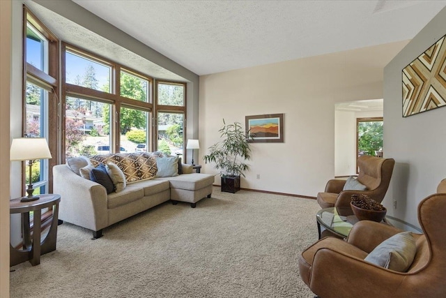4510 E Bixel Ct, Mead, WA 99021 - carpeted living area featuring baseboards and a textured ceiling