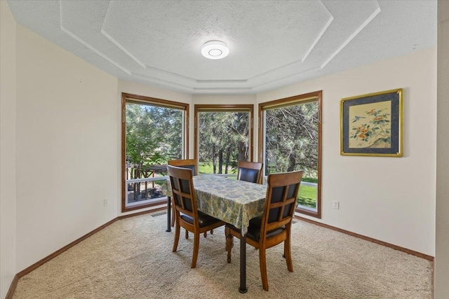 4510 E Bixel Ct, Mead, WA 99021 - dining area featuring a textured ceiling, light colored carpet, a raised ceiling, and baseboards