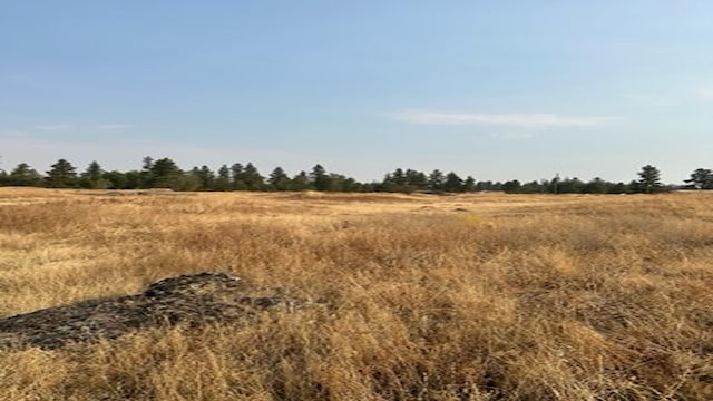 19456 S Harrison Rd, Edwall, WA 99008 - photo 12