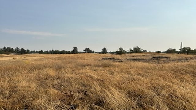 19456 S Harrison Rd, Edwall, WA 99008 - photo 13