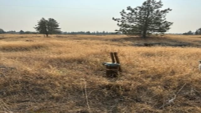 19456 S Harrison Rd, Edwall, WA 99008 - photo 15