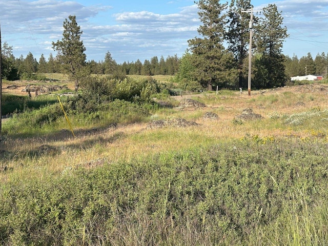 19456 S Harrison Rd, Edwall, WA 99008 - photo 17
