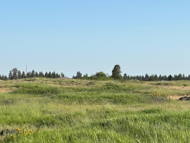 19456 S Harrison Rd, Edwall, WA 99008 - photo 18
