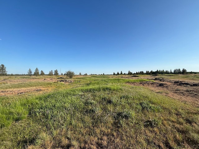 19456 S Harrison Rd, Edwall, WA 99008 - photo 19