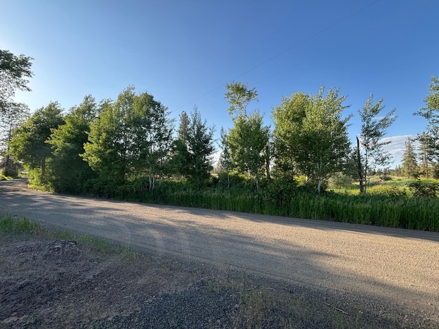 19456 S Harrison Rd, Edwall, WA 99008 - photo 20