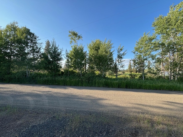 19456 S Harrison Rd, Edwall, WA 99008 - photo 21