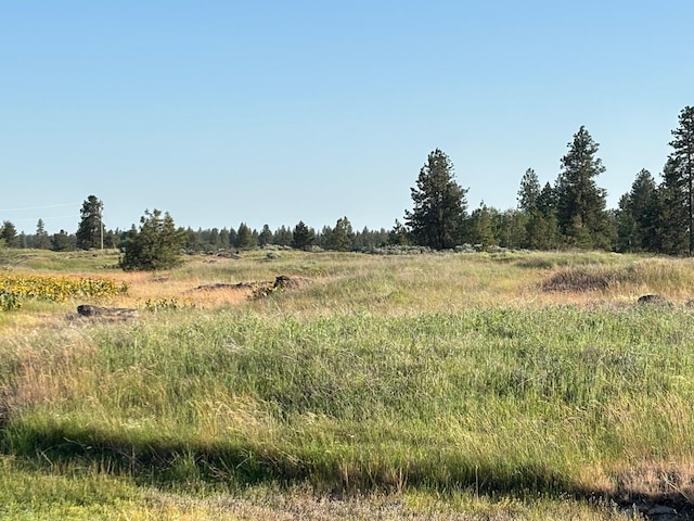 19456 S Harrison Rd, Edwall, WA 99008 - photo 24