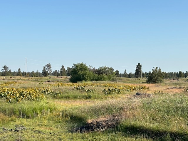 19456 S Harrison Rd, Edwall, WA 99008 - photo 25