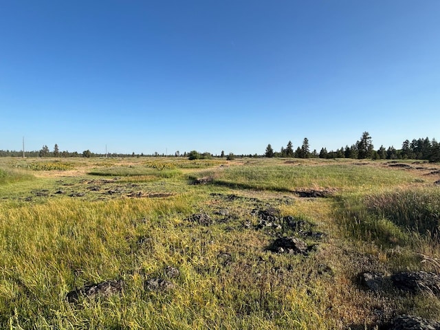 19456 S Harrison Rd, Edwall, WA 99008 - photo 26