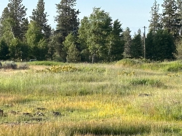 19456 S Harrison Rd, Edwall, WA 99008 - photo 27