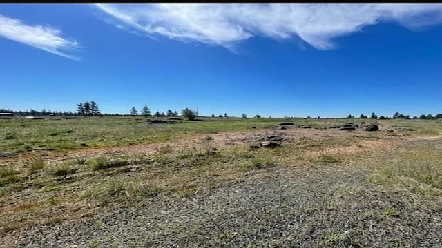 19456 S Harrison Rd, Edwall, WA 99008 - photo 4