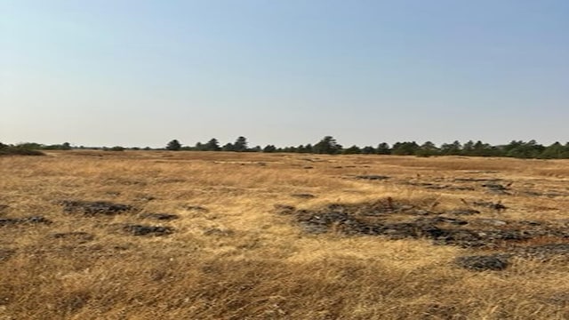 19456 S Harrison Rd, Edwall, WA 99008 - photo 10