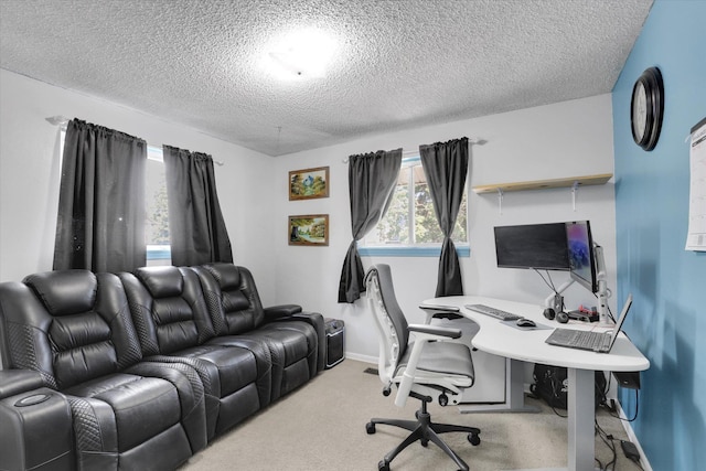 7312 E Euclid Ave, Spokane Valley, WA 99212 - office featuring a textured ceiling, carpet flooring, and baseboards