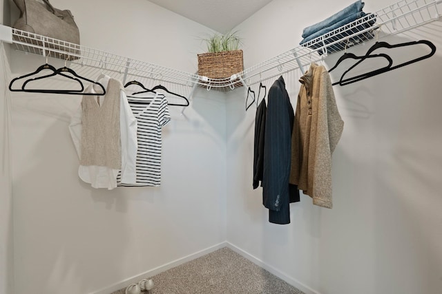 713 E L St, Deer Park, WA 99006 - walk in closet featuring carpet