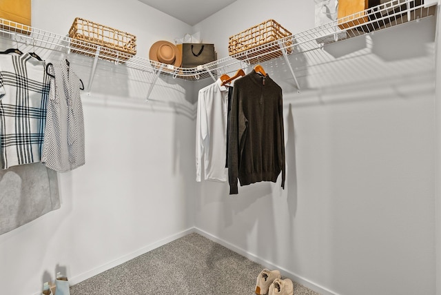 5111 E Frederick Ave, Spokane, WA 99217 - spacious closet featuring carpet floors