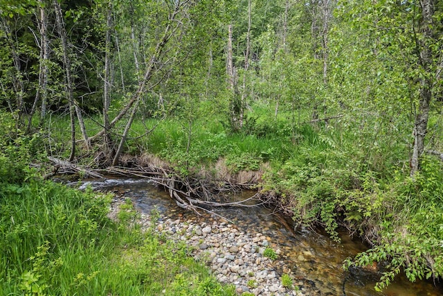 312 Pickett Rd, Ione, WA 99139 - view of local wilderness