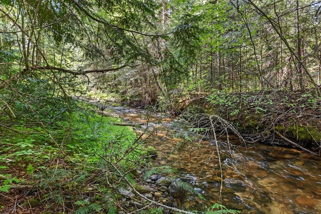 312 Pickett Rd, Ione, WA 99139 - view of wooded area
