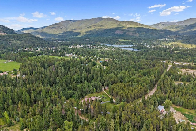 312 Pickett Rd, Ione, WA 99139 - view of property location featuring a forest and mountains