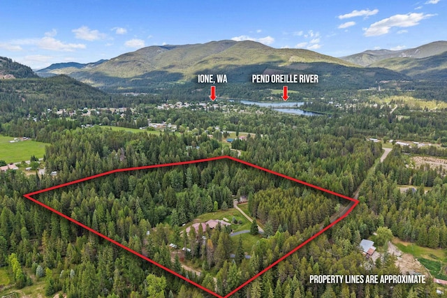 312 Pickett Rd, Ione, WA 99139 - aerial view of property and surrounding area featuring a forest, a mountainous background, and property boundaries highlighted