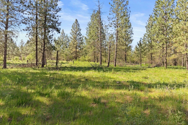 6601 Stony Way, Nine Mile Falls, WA 99026 - photo 1
