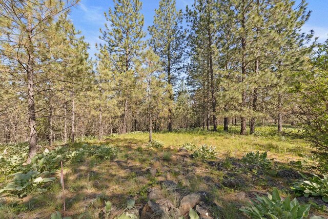 6601 Stony Way, Nine Mile Falls, WA 99026 - photo 11