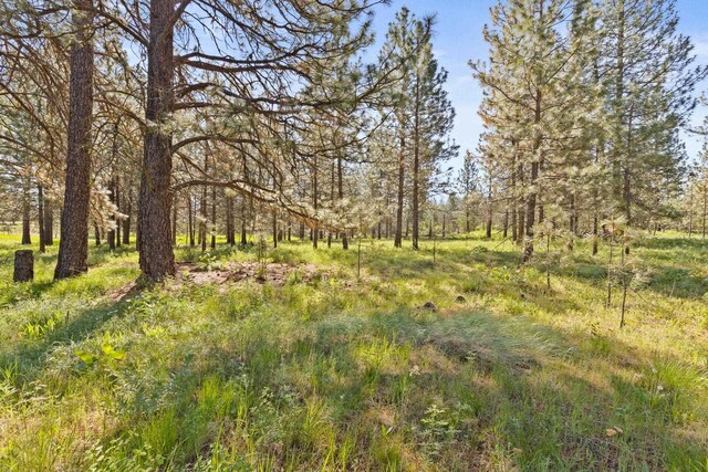 6601 Stony Way, Nine Mile Falls, WA 99026 - photo 13