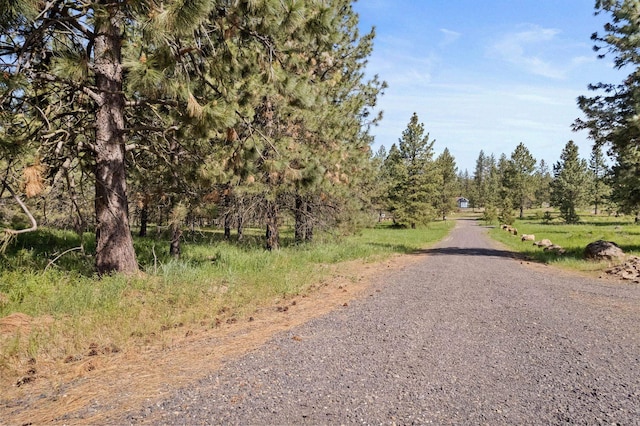 6601 Stony Way, Nine Mile Falls, WA 99026 - photo 15
