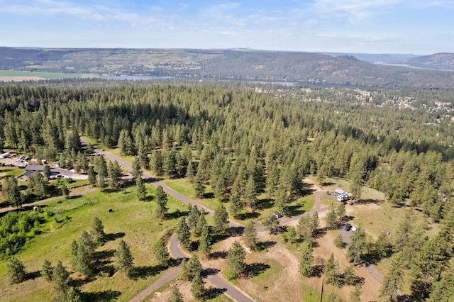 6601 Stony Way, Nine Mile Falls, WA 99026 - photo 16
